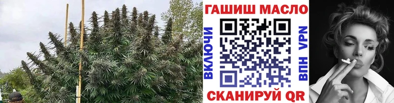 Купить где  Чадан  Дистиллят ТГК THC oil 