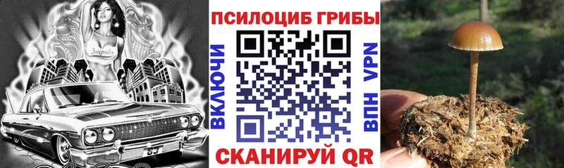 Псилоцибиновые грибы MAGIC MUSHROOMS Купить где Чадан